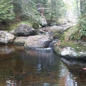 Meet your Posher, Nany